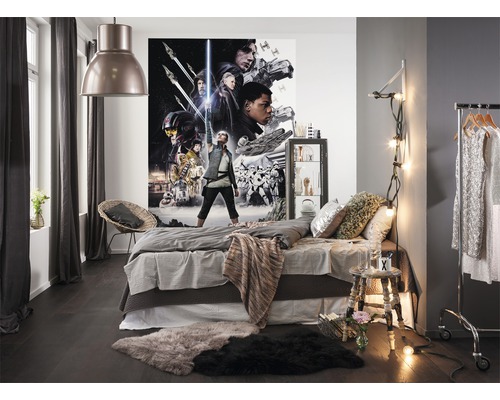 Chambre à coucher avec lit, tapis, portant et fresque murale Star Wars