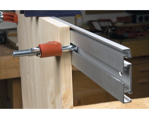 Holzstück mit Schraubzwinge und Führungsschiene