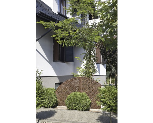 Jardin avec clôture tressée et verdure devant une maison d''habitation