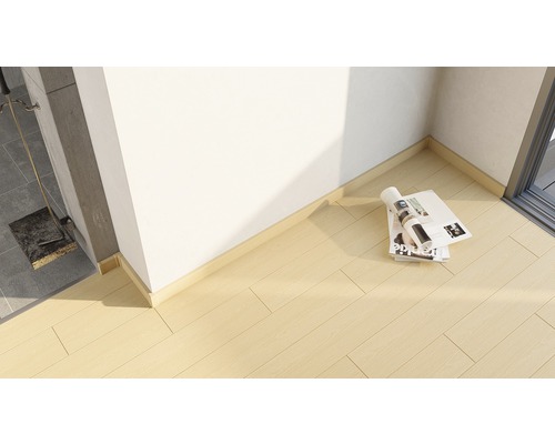 Scène avec plancher en bois clair et plinthes murales