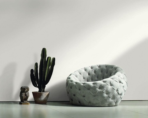 Photo d''intérieur avec fauteuil, cactus et une petite statue