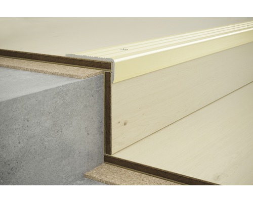 Treppenrenovierung mit Trittstufenprofil und Betonstufen