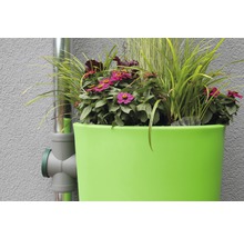 Jardinière avec vanne d''eau de pluie sur une descente pluviale