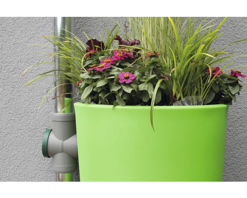 Blumenkasten mit Regenwasserklappe an einem Fallrohr