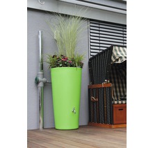 Colonne de récupération d''eau de pluie verte avec des plantes sur une terrasse