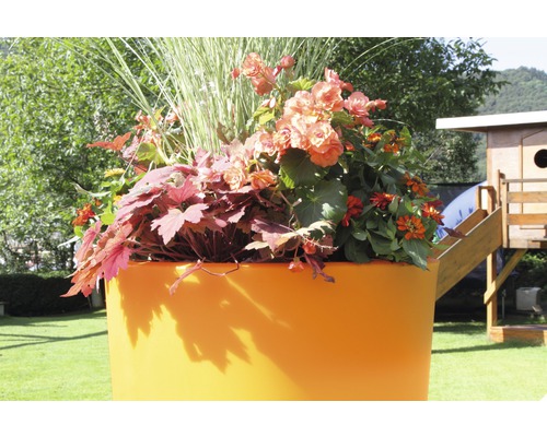 Blumenarrangement in einem Pflanzkübel im Aussenbereich