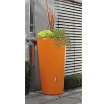Récupérateur d''eau de pluie avec robinet et plantation dans le jardin