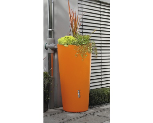 Récupérateur d''eau de pluie avec robinet et plantation dans le jardin