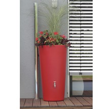 Récupérateur d''eau de pluie avec robinet et plantation
