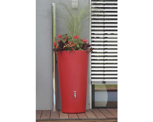 Regentonne mit Wasserhahn und Bepflanzung