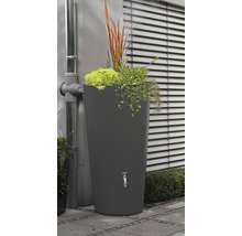 Récupérateur d''eau de pluie avec bac à plantes et robinet dans le jardin