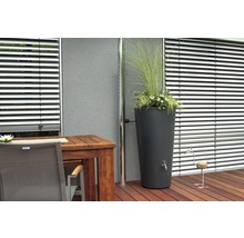Scène avec réservoir d''eau de pluie, planté de fleurs et d''herbes, à côté d''une gouttière, sur une terrasse avec plancher en bois