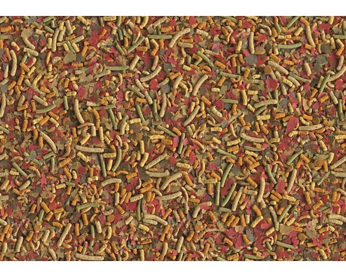 Nourriture pour poissons composée de flocons et de bâtonnets