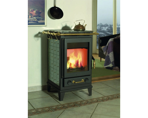 Poêle à bois avec porte vitrée et feu de bois dans le salon.