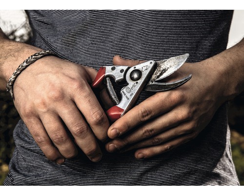 Gros plan d''une main tenant un sécateur Felco 8