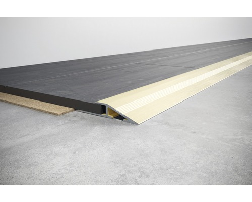 Raccord de sol avec rail de carrelage et profilé de transition