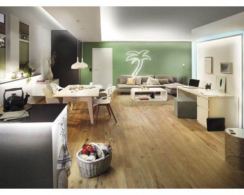 Heller Wohnraum mit Esstisch, Sofa, Schreibtisch und Holzboden