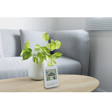 Thermomètre et hygromètre numériques sur une table avec une plante d''intérieur.