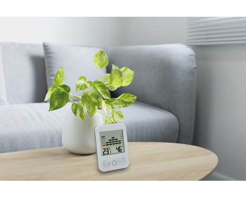 Thermomètre et hygromètre numériques sur une table avec une plante d''intérieur.