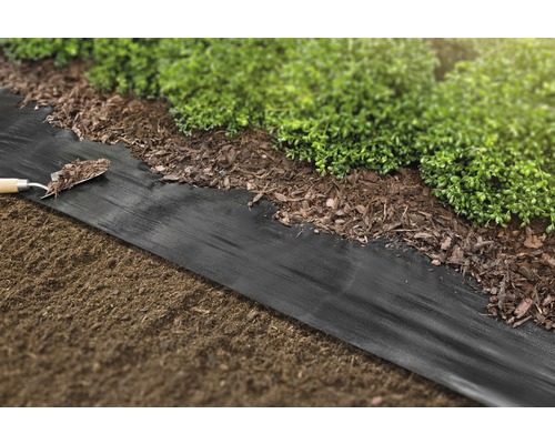 Gartenszene mit Unkrautvlies, Rindenmulch und Pflanzen