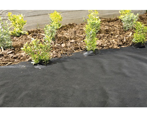 Scène de jardin avec toile de paillage et plantes dans la plate-bande