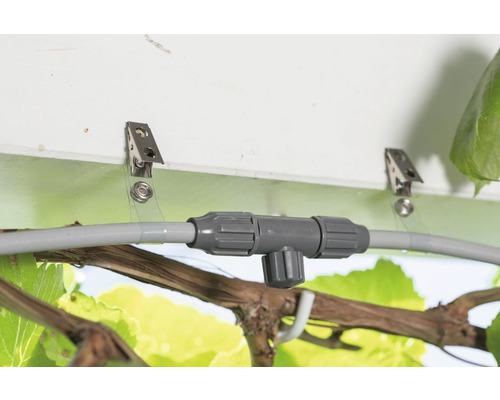 Bewässerungssystem mit T-Stück und Halteklammern an einer Wand montiert