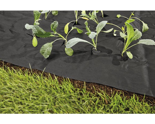 Garten mit Bodengewebe und Pflanzen
