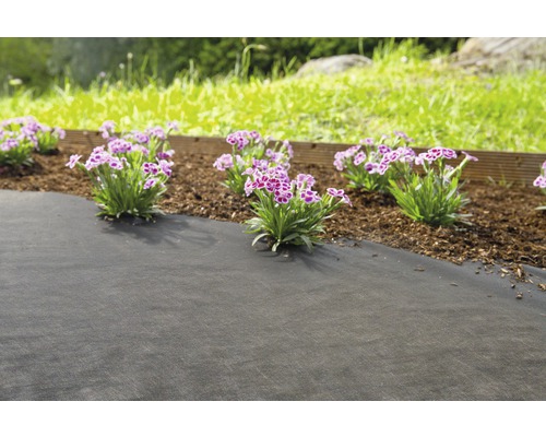 Scène de jardin avec toile de paillage, fleurs et bordure en bois