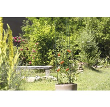 Tour potagère pour tomates tour pour concombres FloraSelf 150x30 cm vert-thumb-2