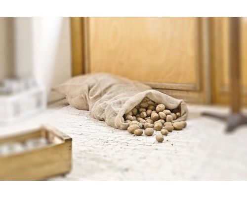 Sac de pommes de terre