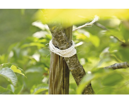 Support d''arbre avec matériel de fixation