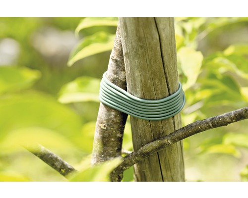 Bande de fixation pour arbre servant à fixer un arbre à un poteau en bois