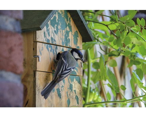 Vogel beim Einflug in ein Vogelhaus mit Dekoration