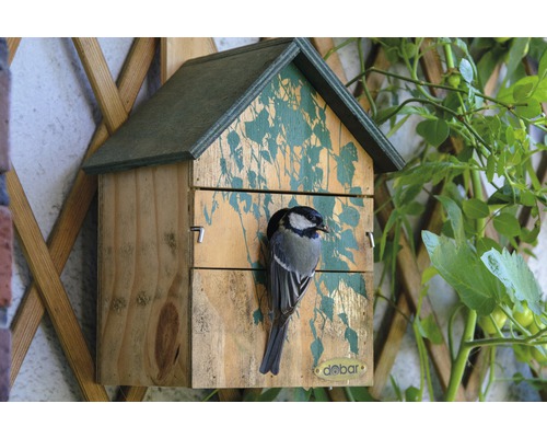 Vogelhaus aus Holz mit Dekor und einer Blaumeise vor dem Eingang