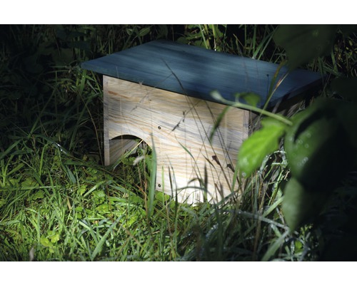 Nichoir à chauves-souris en bois dans l''herbe