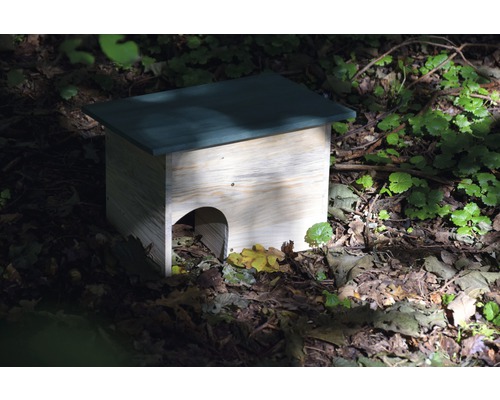 Maison en bois pour hérissons dans les feuilles