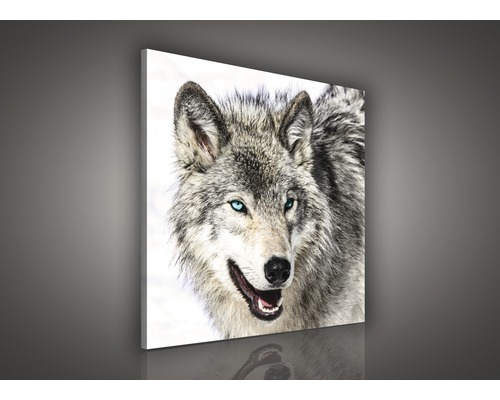 Leinwandbild mit Wolfsmotiv