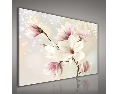 Wandbild mit Magnolienblüten