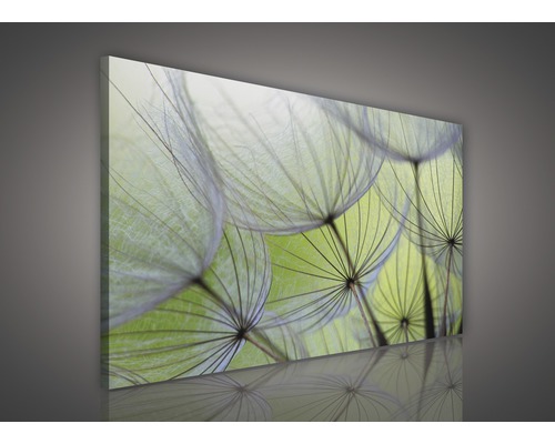 Leinwandbild mit Löwenzahn-Motiv