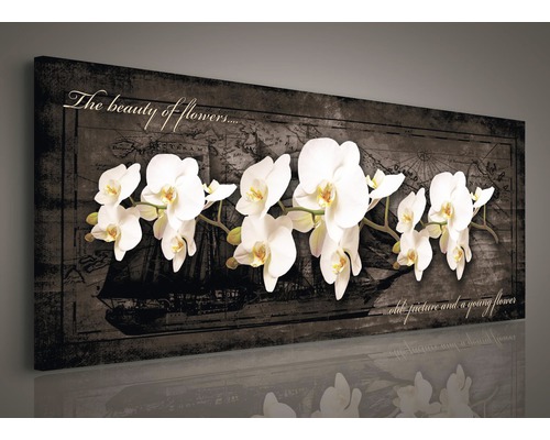 Leinwandbild mit Orchideenmotiv und Schiffsdarstellung