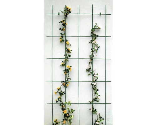 Gitterspalier 75x150 cm, grün
