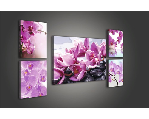 Fünfteiliges Wandbild mit Orchideenmotiven