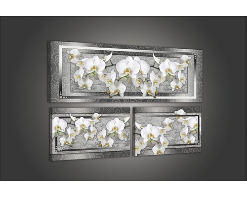 Dreiteiliges Wandbild mit Orchideenmotiv