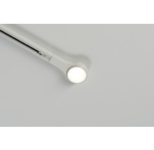 Deckenleuchte mit Schienensystem und LED-Spot