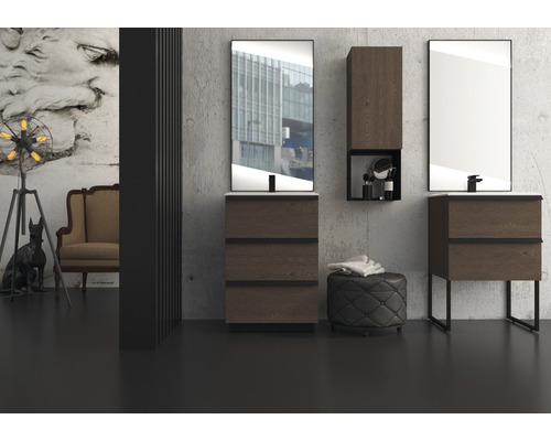 Scène de salle de bain avec lavabos, miroirs et décoration