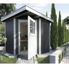 Abri de jardin en bois avec porte et fenêtres ouvertes
