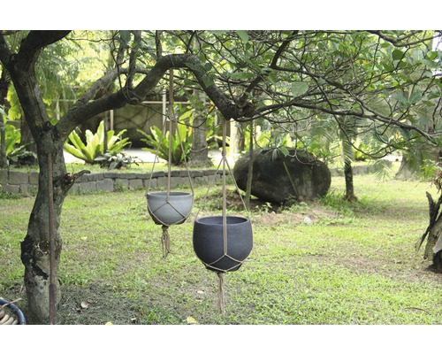 Deux suspensions pour plantes avec suspension en corde dans le jardin