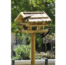 Vogelhaus mit verschiedenen Vögeln auf einem Ständer