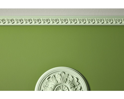 Zimmerdecke mit Zierleiste und Rosette