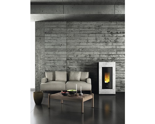 Salon avec canapé, table et poêle